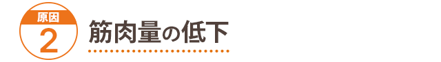 原因2：筋肉量の低下